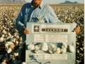 cotton-comparison-breakout-fix-686x1024