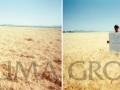 duram-wheat-with-hg-and-control-01-1024x365