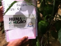 galeria4