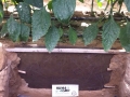 galeria5