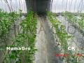 humagro2-1024x767